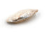 giant white pearled mussel pair